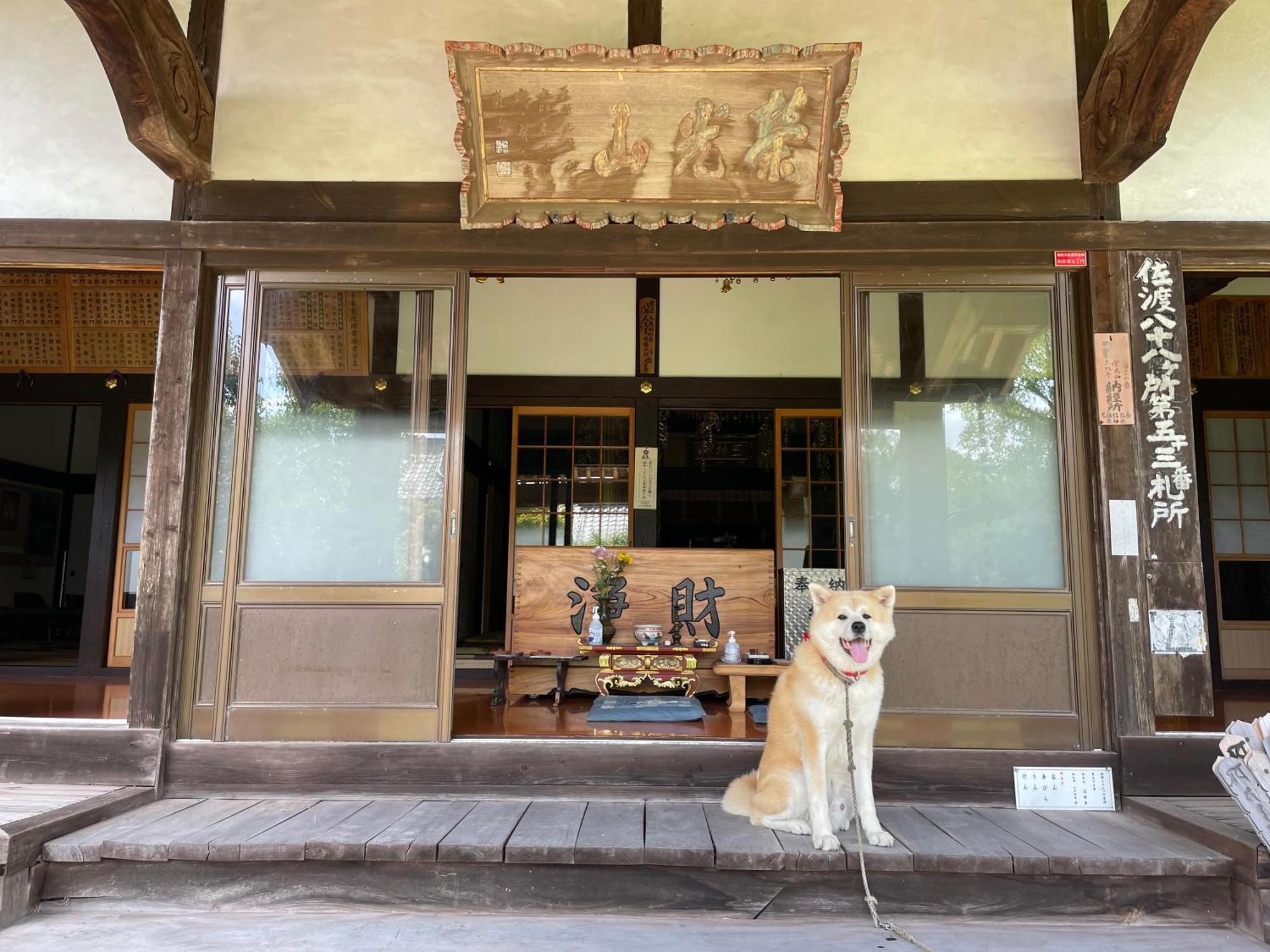 Temple Stay 玉林寺 Szado Kültér fotó
